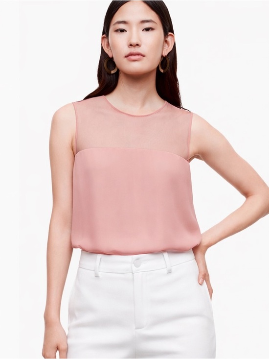 Babaton Tops - NWT Aritzia Babaton Lionel Blouse